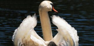 Kiedy fotelik 0-13 jest za mały?