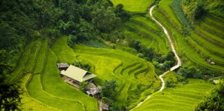 Jaka izolacja pod domek drewniany?