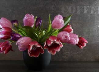 Jak dobrać sprężyny do trampoliny?