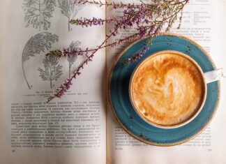 Co najpierw krem czy olejek? Co najpierw krem czy olejek?