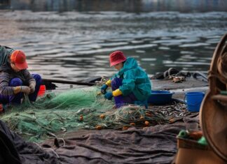 Ile stron ma Sinner?