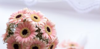 Ile kosztują chrzciny w lokalu 2023?