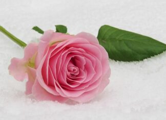 Co na komunię krzyżyk czy medalik? Co na komunię krzyżyk czy medalik?