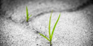 Co wpływa na trwałość emulsji?