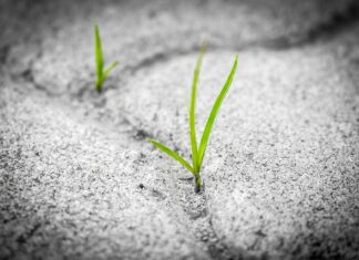 Co wpływa na trwałość emulsji? Co wpływa na trwałość emulsji?