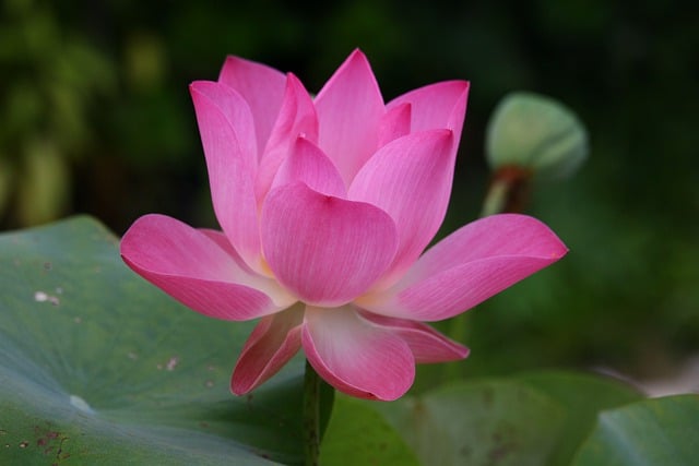 Jak jest po angielsku WF? Jak jest po angielsku WF?