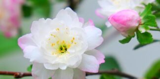 Ile jest rodzajów klocków LEGO?