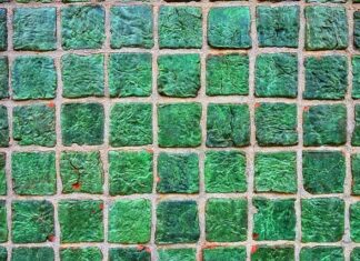 Co zamiast płytek na ścianę? Co zamiast płytek na ścianę?