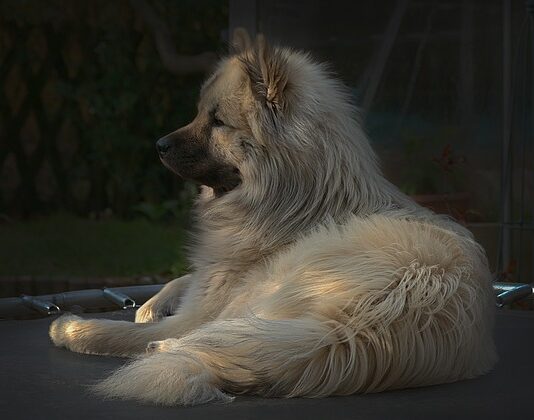 Co zamiast trampoliny? Co zamiast trampoliny?