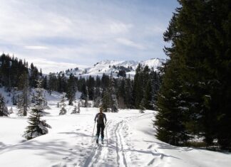 Ile mleka odciągnąć przed karmieniem?