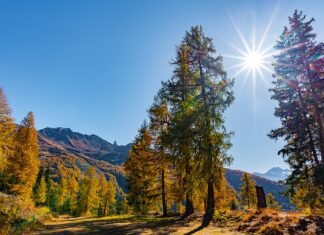 Jak zrobić masę do odlewu? Jak zrobić masę do odlewu?