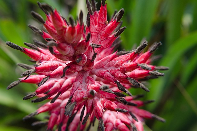 Czy wazelina jest dobra na piety? Czy wazelina jest dobra na piety?