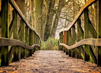 Jaka gra dla 15 latka?