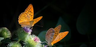 Z czego zrobić masę sensoryczna?