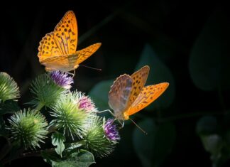 Z czego zrobić masę sensoryczna? Z czego zrobić masę sensoryczna?