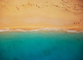 Od jakiego drona zacząć? Od jakiego drona zacząć?