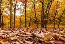 Kim jestem przykład? Kim jestem przykład?