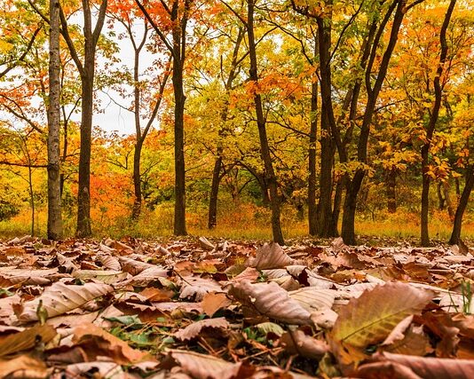 Kim jestem przykład?