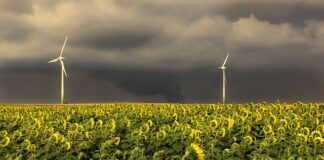 W jakiej kolejności stosować Pielęgnacje?