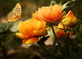 Co do mycia dla niemowląt?