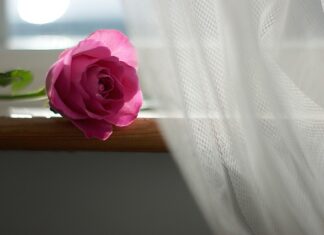 Co zamiast firanki w pokoju dziecka? Co zamiast firanki w pokoju dziecka?