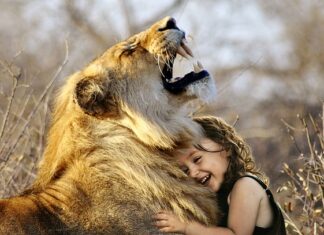 Jakie gry strategiczne dla dzieci? Jakie gry strategiczne dla dzieci?