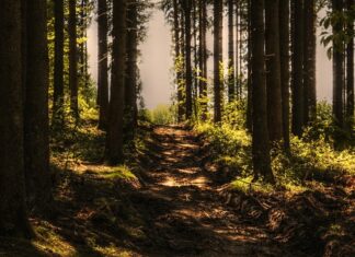 Czy nagrywanie z drona jest legalne?