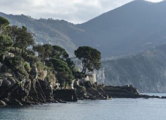 Ile kosztuje maść Linomag?